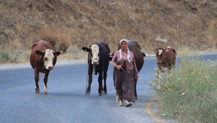 Alevlerden kaçtılar, hayvanlarını ve kendi canlarını zor kurtardılar