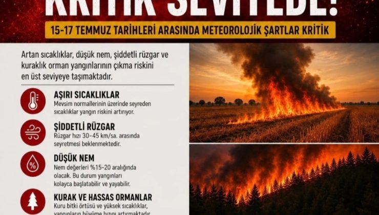 Aydın Valiliği’nden orman yangını uyarısı