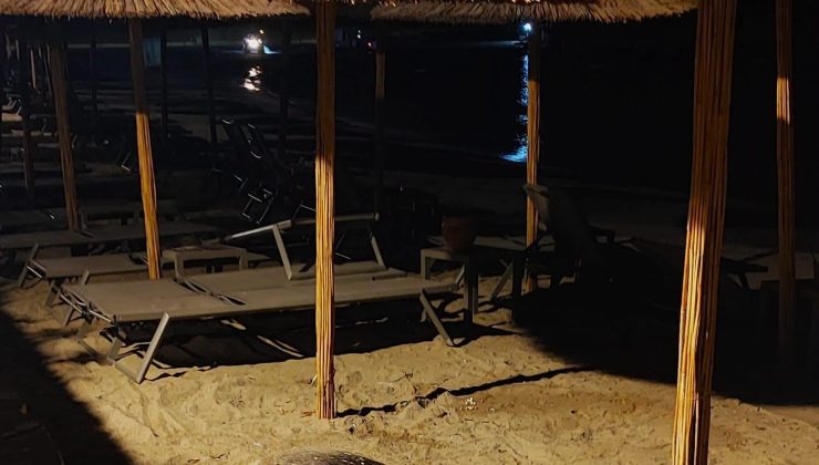 Aydın’ın Kuşadası ve Didim kıyılarında caretta hareketliliği