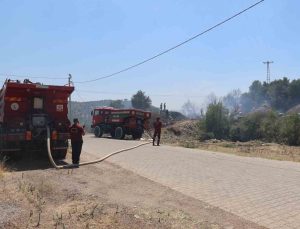 Başkan Arıcı, yangın bölgesinde incelemelerde bulundu