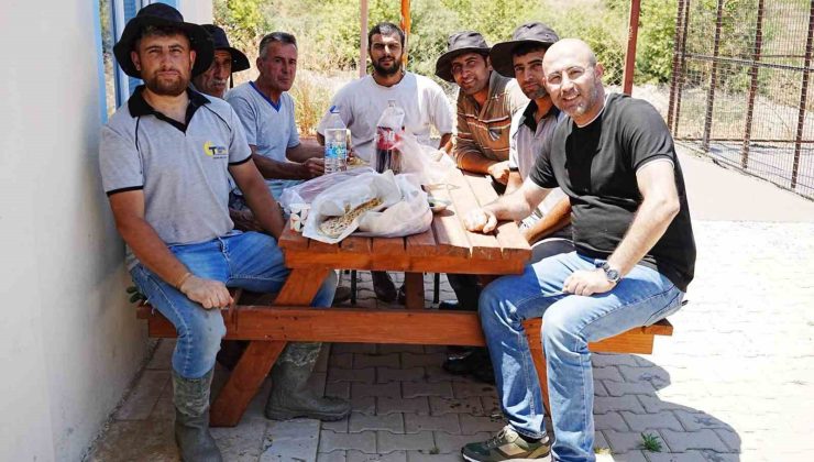 Başkan Zencirci’den Sokak Hayvanları Rehabilitasyon Merkezi’ne inceleme