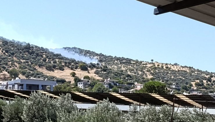 Bozdoğan’daki zirai alan yangını kontrol altına alındı