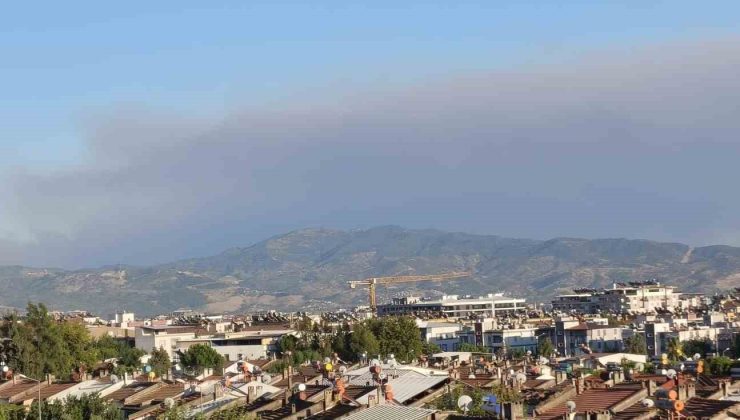Çine yangının dumanları Efeler’e ulaştı