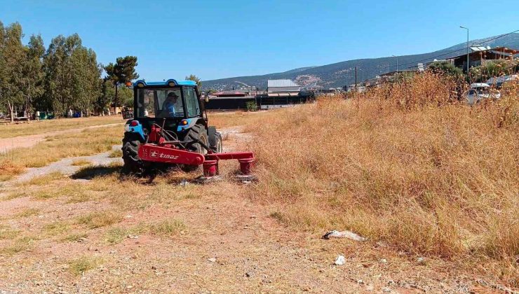 Didim Belediyesi kent genelindeki bakım çalışmalarını aralıksız sürdürüyor