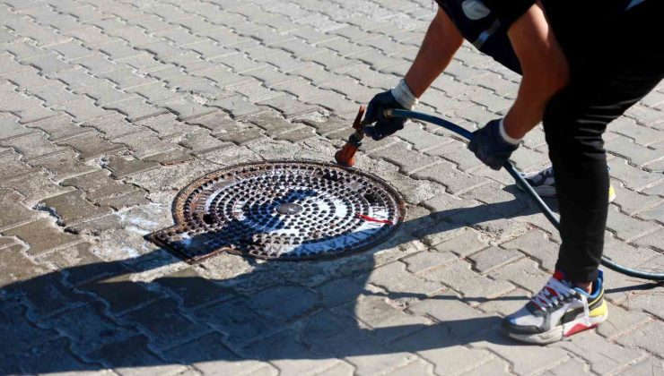 Didim Belediyesi’nden daha sağlıklı yaşam alanları için kapsamlı çalışma