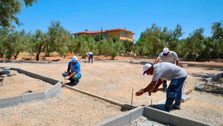 Didim’de Zeytin Park Projesi hayata geçirilecek