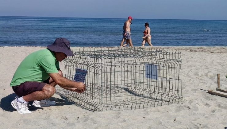 Duyarlı gençlerin ihbarı sayesinde, caretta yuvası koruma altına alındı