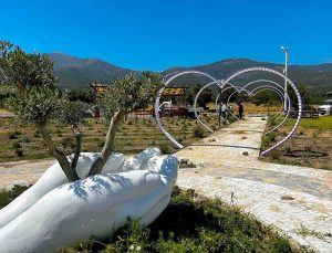 Fotoğraf tutkunları Söke’de lavanta bahçesine akın edecek