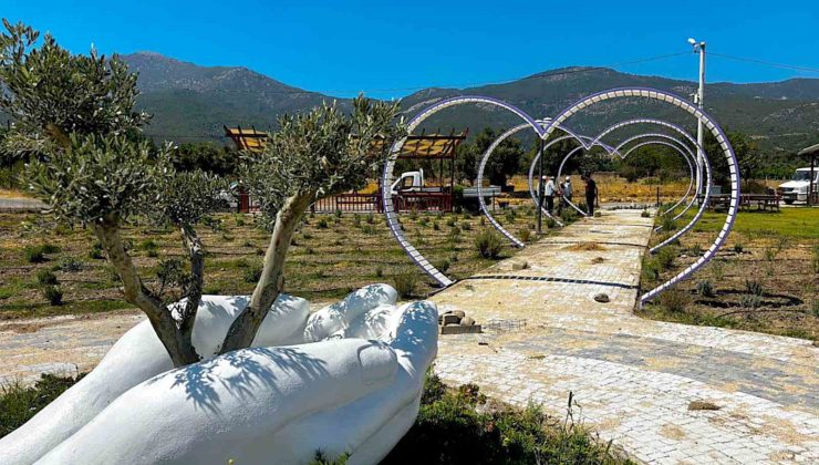 Fotoğraf tutkunları Söke’de lavanta bahçesine akın edecek