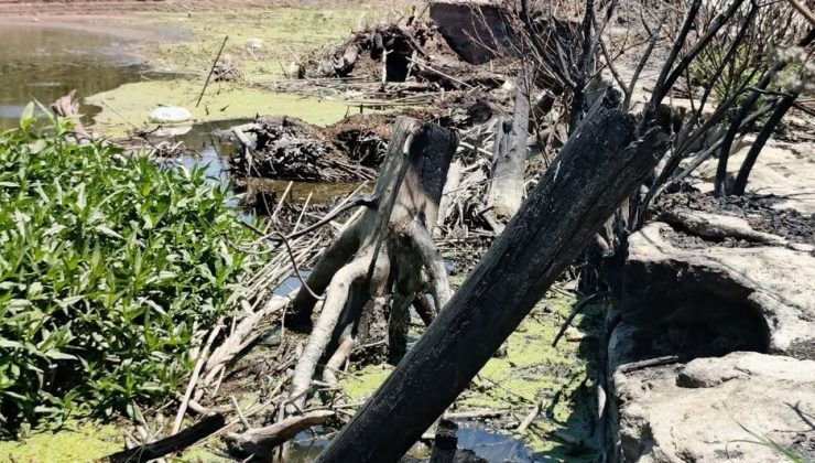 İnatçı filminin çekildiği tarihi taş köprüyü ateşe verdiler