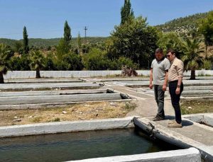 Kaymakam Sözen, tarım müdürlüğü ve su ürünleri işletmesinde incelemelerde bulundu