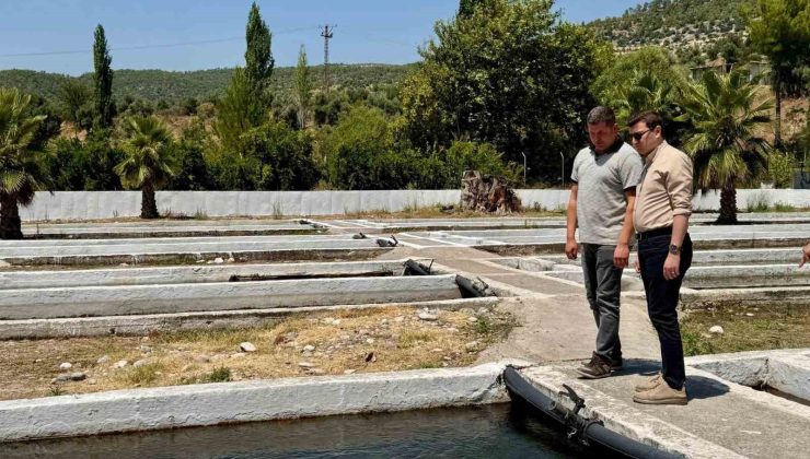 Kaymakam Sözen, tarım müdürlüğü ve su ürünleri işletmesinde incelemelerde bulundu