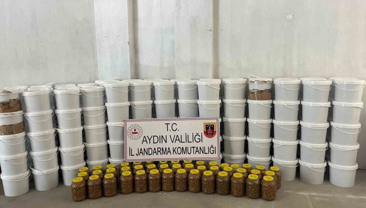 Köşk’te 3 milyon liralık sahte gıda operasyonu: “4 ton salça ve 300 kilo zeytin ele geçirildi”
