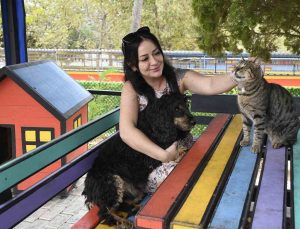 Kuşadası Belediyesi 3 bin 518 sokak hayvanını ömürlük yuvasına kavuşturdu