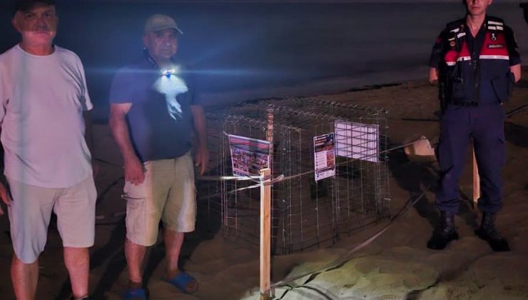 Kuşadası’nda caretta caretta heyecanı: İlk yuva koruma altına alındı