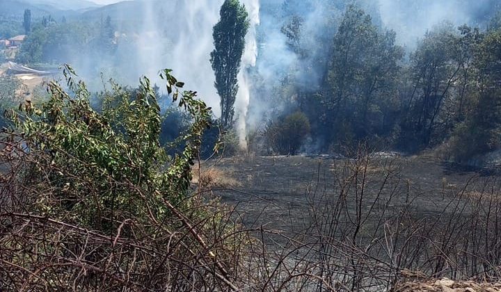 Kuyucak’ta ziraat alanındaki yangın ormana ulaşmadan söndürüldü