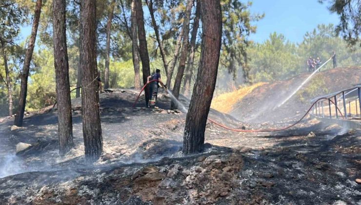 Aytepe Mesire alanındaki yangın kısa sürede söndürüldü