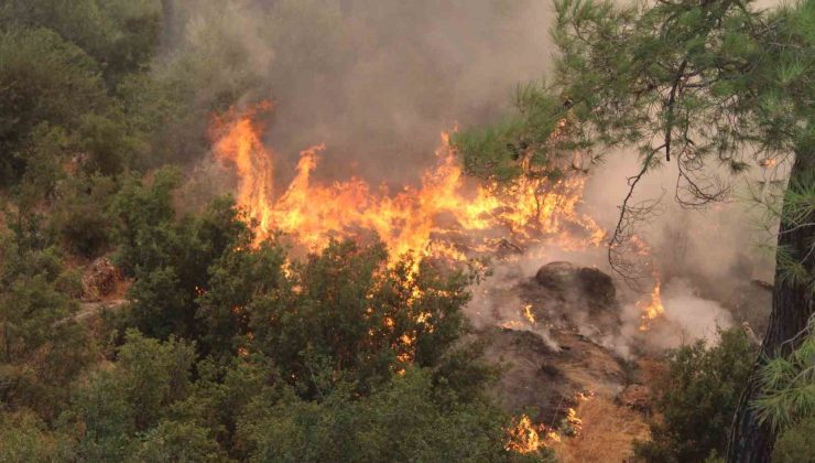 Rüzgar alevleri yeniden harlıyor, ekipler zamana karşı yarışıyor