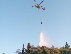 Söke’de makilik ve zeytinlik yangını