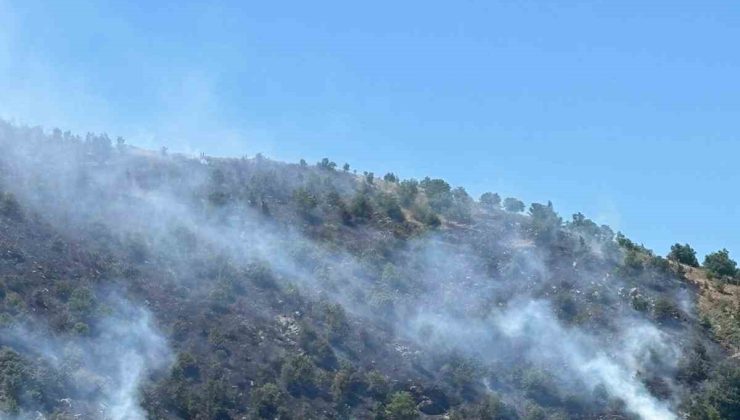 Sultanhisar yangını kontrol altına alındı