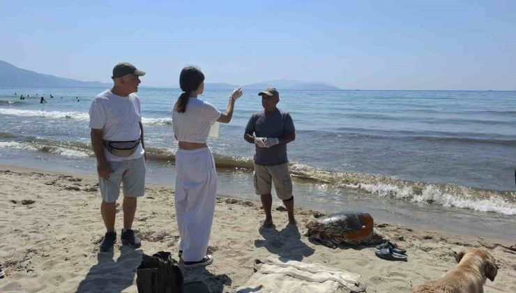 Üremek için geldikleri kıyılarda 3 caretta caretta ölü bulundu