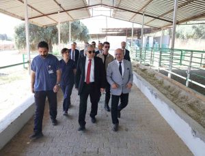 ADÜ Rektörü Kent, Ziraat Fakültesi’nde incelemelerde bulundu