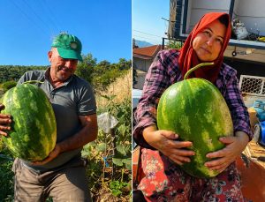 Aydın’da 550 rakımda karpuz ve balkabağı yetiştiriyorlar