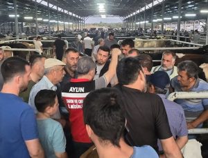 Aydın’da hayvan pazarlarında sıkı denetim