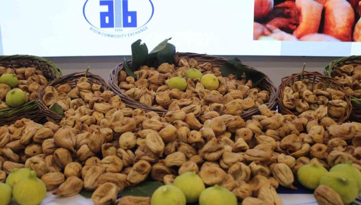 Aydın’da sezonun ilk kuru inciri 850 liradan satıldı