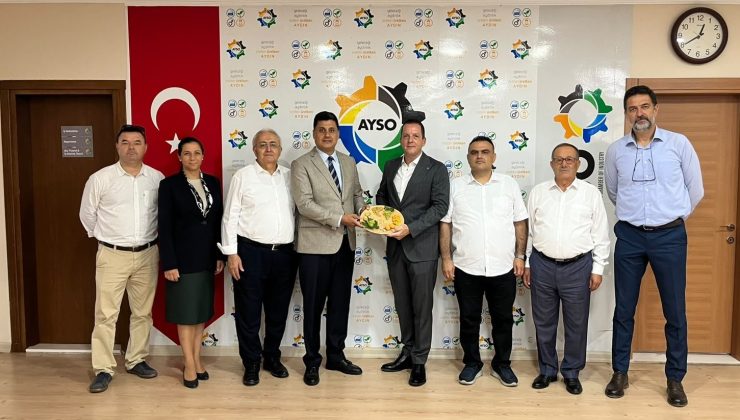 AYSO’dan incirde aflatoksin riskine karşı firmalara güçlü hamle: İncir ihracatında kayıpların önüne geçilecek