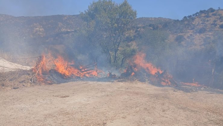 Bir evin bahçesindeki zeytinlik alanda çıkan yangın kısa sürede söndürüldü
