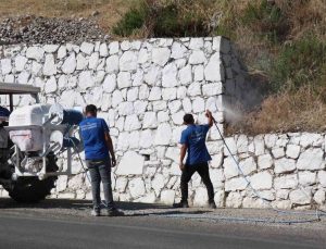 Bozdoğan’da haşereyle mücadele sürüyor