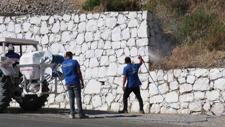 Bozdoğan’da haşereyle mücadele sürüyor