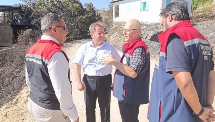 Çine’de yangın sonrası hasar tespit çalışmaları sürüyor