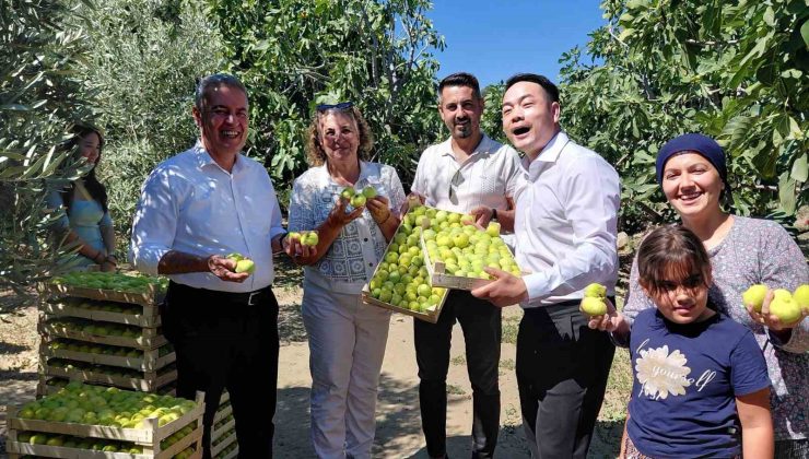 Çinli fenomen çift Aydın incirine hayran kaldı