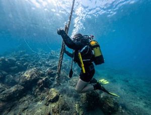 Güvercinada açıklarında deniz dibi temizliği yapıldı