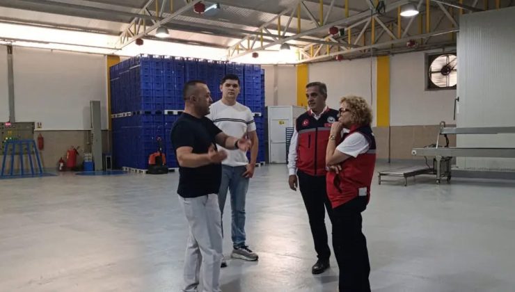 İncir depolarında denetimler hız kazandı