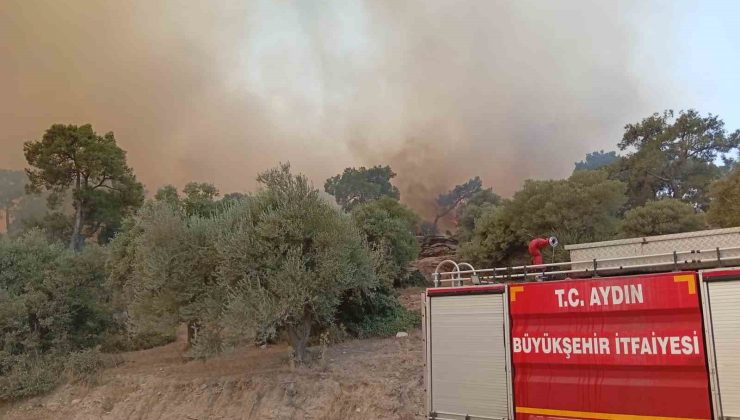 İtfaiye erleri alevlerin arasında kalan kaplumbağayı böyle kurtardı