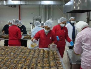 Kadın Emeği Tarımsal Ürün Fabrikası’yla yerel üretim dünyaya açılıyor