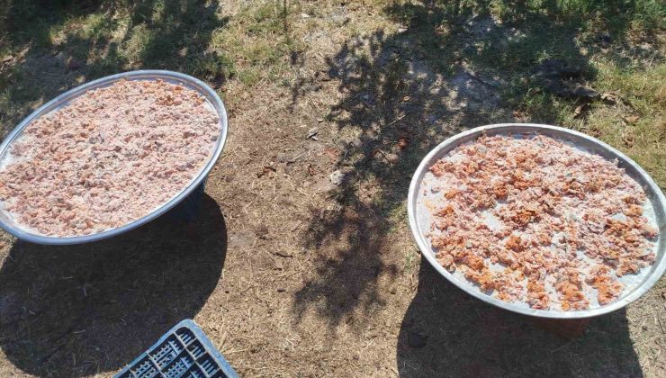 Köşk Başçayır’da geleneksel kışlık tarhana hazırlıkları başladı