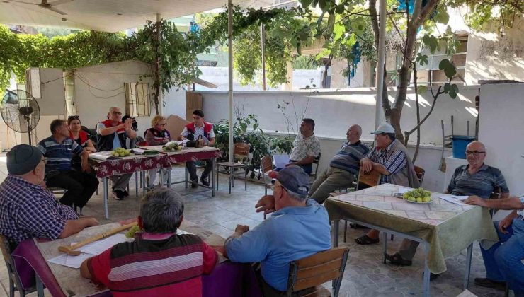Nazilli’de üreticilere sağlıklı incir üretimi için önemli uyarılar