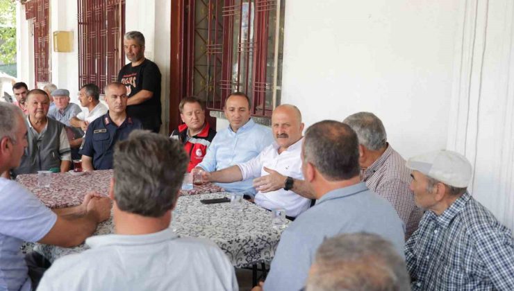 Vali Varol: “Yanan alanlar en kısa sürede yeniden yeşillendirilecek”