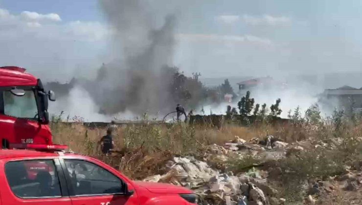 Zeytinlik alanda çıkan yangın korkuttu