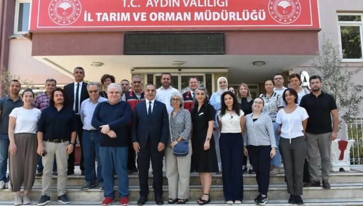 AB Misyon Heyeti Aydın incirindeki gıda güvenliğini mercek altına aldı