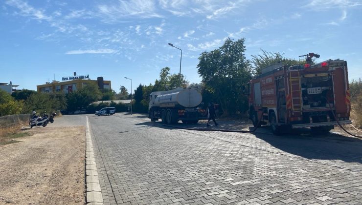 Aydın’da okul yanında başlayan yangın panikletti