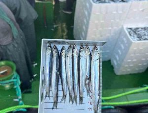 Didim’de ’Hamsi Kotası’ denetimi yapıldı