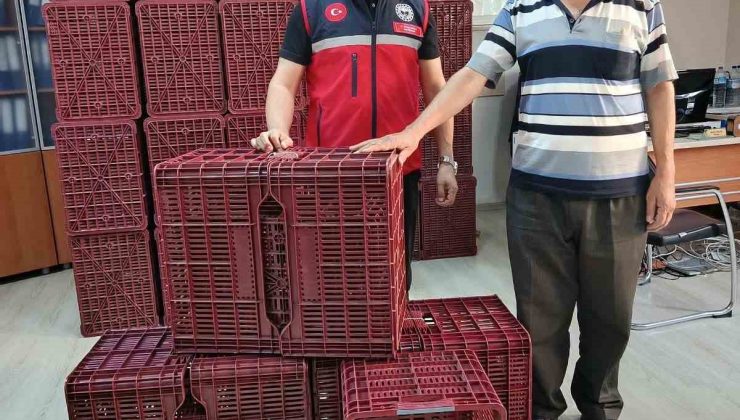Köşk’te incir üreticilerine hibeli kasa desteği