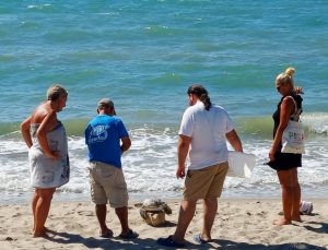 Kuşadası Körfezi’nde 4 deniz kaplumbağası ölü bulundu
