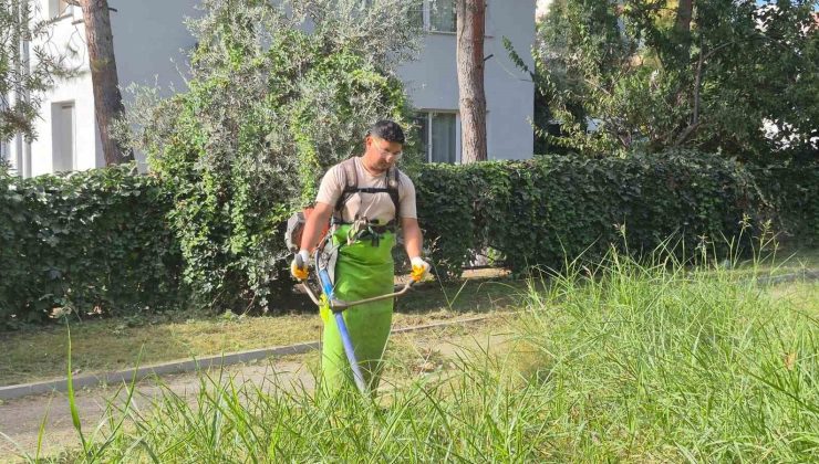 Kuşadası’nda yeşil alanlar bakıma alındı