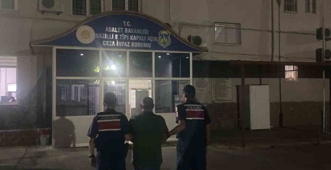 Kuyucak’ta ormanlık alanda kenevir yetiştiren şüpheli suçüstü yakalandı